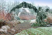 Cedrus atlantica 'Glauca Pendula' arch at entrance to The Winter Garden, Bressingham Gardens, Norfolk, UK