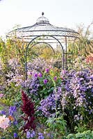 Metal gazebo and planting of Asters