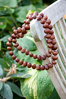 Heart shaped decorations made from chestnuts