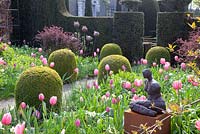 Formal garden with Tulipa 'Pink Impression', Tulipa 'Pink Diamond', Tulipa 'Rosalie', Tulipa 'Violet Beauty' and Narcissus 'Bellsong'
