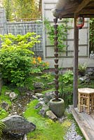 Acer aueum and Prunus 'Kojo no mai' in a small, Japanese style garden. Tea-house with an original Rain-drain and authentic Japanese lanterns, May