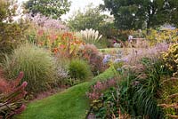 Eucomis comosa 'Sparkling Beauty', Cortaderia selloana 'Pulia', Heleniums, Agapanthus and Bupleurum in the main garden - Marchants Hardy Plants Nursery, Sussex