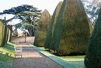 Giant Topiary pyramids in The Great garden