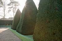 Giant topiary pyramids in The Great Court 