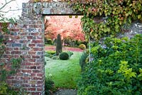 Looking through walled garden to mature clipped shrubs in autumn and Liquidambar styraciflua 'Worplesdon'. Coates Manor, Sussex
