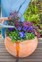 Step by step - Planting a purple and blue themed early summer container with Myosotis - Forget me nots, Viola 'True Blue' - Pansies, Heuchera 'Midnight Bayou' and Campanula 'Violet Belle' 
