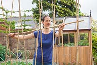 Step by step - Making a bamboo plant support and planting Runner Bean 'Desiree' in a raised bed