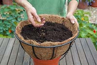 Step-by-step - Planting a shade loving hanging basket