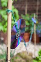 Step-by-step - Creating string of CD's to keep birds away from vegetable beds