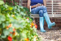 Step-by-step - Growing lettuces 'Lollo Rosso' and 'Little Gem' and radishes in raised vegetable bed 