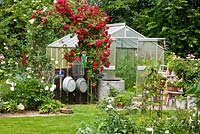 Glass house with climbing roses, a granite trough and tin tubs, Lychnis coronaria and Paeonia