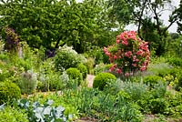 Vegetable patches with mixed cultivation in country garden 