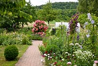 Paved garden path next to perennial borders. Plants are Rosa 'Rosarium Uetersen', Astrantia,  Buxus, Dianthus barbatus,  Lavandula angustifolia and Phlomis russeliana