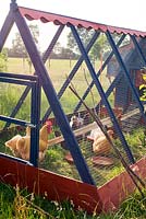 Chickens in painted 'gypsy caravan' style chicken house and run