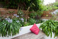 Modern small town garden designed by James Walsh 
