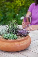 Step by step - planting a succulent container. Finished pot with Echeveria 'Pearl of Nuremberg' and 'Elegans', Stapelia and Kalanchoe 'tubiflora' 
