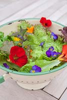 Step by step - growing salad in raised vegetable bed - harvesting and making salad