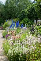 Next to gravel path, perennial border with Anthemis tinctoria, Crataegus, Delphinium Elatum-Grp, Digitalis purpurea 'Alba', Penstemon digitalis 'Husker's Red' and Salvia nemorosa 'Adrian' - Germany