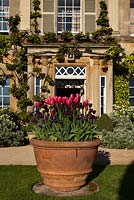 Highgrove House entrance with a pot of tulips, May 2010.  