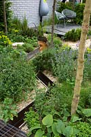 Design - Nicholas Dexter. The Climate Calm Garden RHS Chelsea Flower Show 2012.