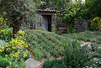 MThe L'Occitane Immortelle Garden. RHS Chelsea Flower show 2012.  Gold Award. Mediterranean style garden