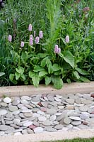 Persicaria bistorta 'Superba' next to a pebble filled water rill. The Laurent-Perrier Garden