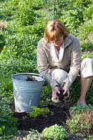 Woman adding compost to perennial border 