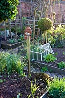 Spring vegetable garden with garden fork