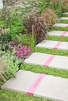 Concrete steps with Soleirolia soleirolii
