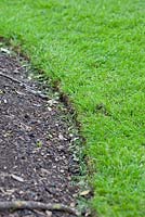 Cut lawn edge