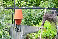 Garden Scarecrow with flowerpot head
