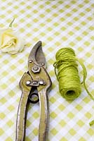 Vintage secateurs, cream rose and string on lime green gingham background