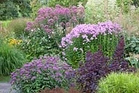 Border with Phlox paniculata 'Hesperis', Eupatorium 'Riesenschirm' and Monarda fistulosa menthifolia