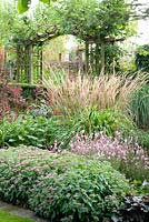 Border with Calamagarostis splendens, Sedum 'Abbeydore', Persicaria amplexicaulis 'Blackfield' and Gaura 'Cherry Brandy'