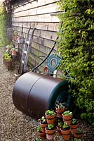 Old garden roller with auriculas