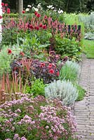 Flowerbed with Santolina, Origanum vulgare compactum, Dahlia, Imperata cylindrica Red Baron, Persicariaa Firetail