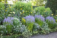 Perennial border with Agastache 'Blue Fortune', Helenium 'Double Trouble', Kalimeris incisa 'Blue Star', Coreopsis 'Moonbeam', Helianthus 'Triomphe de Gand'