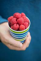 Rubis Idaeus - Hands holding a beaker of Raspberries