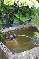 Mini pond with frog gargoyle