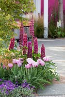 Showgarden at BLOOM 2012 Dublin. Changing Perspectives.