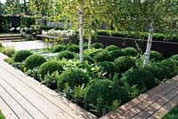 Box Topiary in contemporary garden. Contemporary Contemplation, Hampton Court Palace Flower Show 2012
