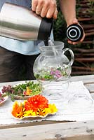 Organic flowers suitable for making tea or a salad - Nursery Bloemrijk 