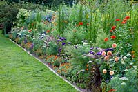 Mixed border with Ammi visnaga 'Blutenball', Artemisia capillaris 'Grune Feder', Callistephus chinensis 'Standy Dunkelblau', Eupatorium 'Elegant Feather', Helianthus annus 'Soraya', Lycianthes rantonnettii, Pennisetum setaceum 'Kupfer', Tithonia rotundifolia 'Goldfinger', Zinnia angustifolia 'Profusion Orange' and Zinnia elegans 'Benarys Riesen Orange'