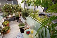Small London garden with potted plants seating