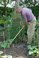 David Curry hoeing in the vegetable garden amonst the courgettes - Newland End, Essex