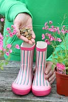 Step by step of planting a pair of recycled kids wellies with Diascia 'Little Dancer' - Adding gravel to base of boot to help with drainage