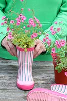 Step by step of planting a pair of recycled kids wellies with Diascia 'Little Dancer' - Firming in