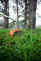 Strimmer in use