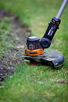 Strimmer edging a lawn