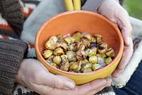 Roasted chestnuts